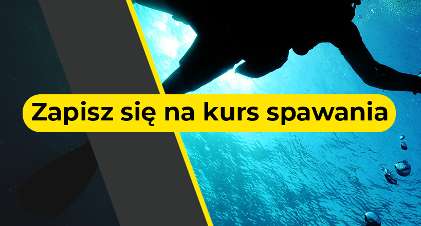 Zdobądź stabilny zaw&oacute;d